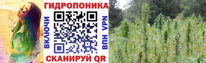 Купить закладку Тара A PVP  Амфетамин  Cocaine  Мефедрон  Бутират  Марихуана  ГАШИШ 