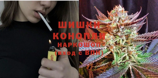 apvp Алексин