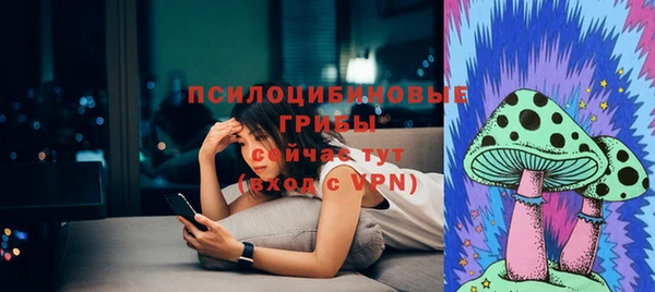 apvp Алексин