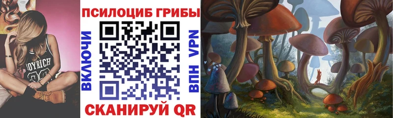купить наркотики сайты  kraken рабочий сайт  Галлюциногенные грибы Magic Shrooms  Тара 