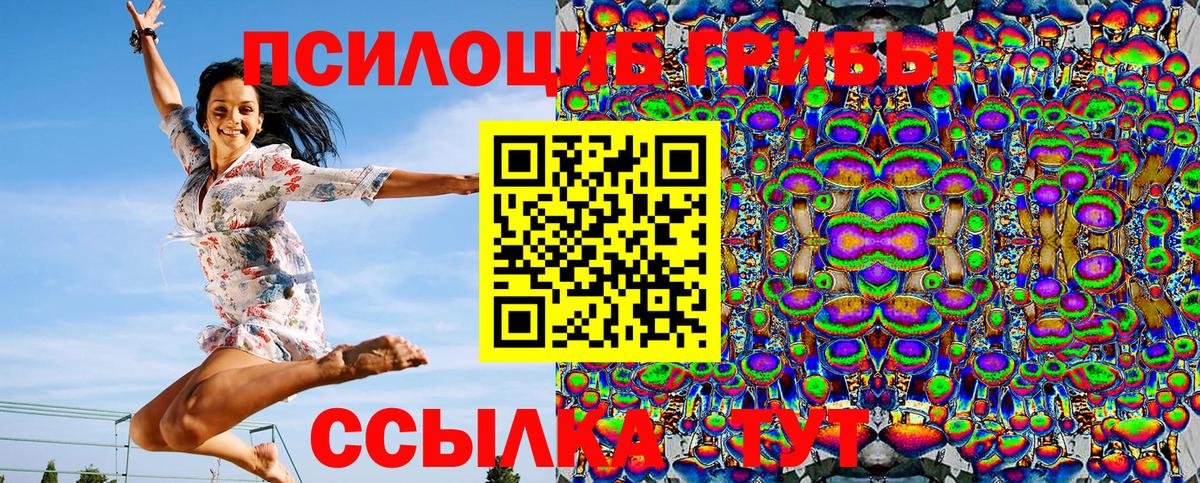 Галлюциногенные грибы Psilocybine cubensis  Вход с VPN  где купить наркоту  Тара 