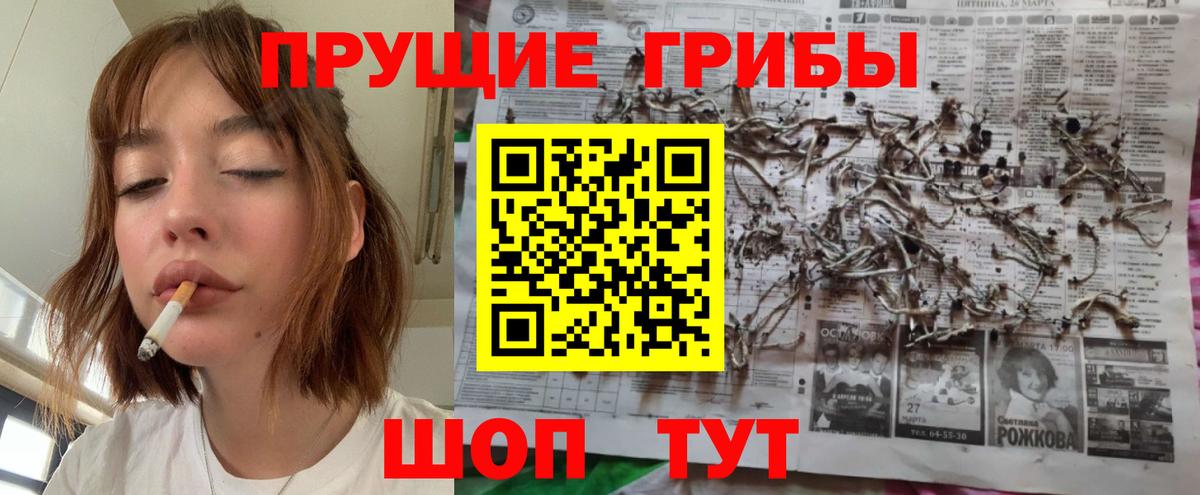 Галлюциногенные грибы прущие грибы Тара