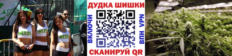 МЕГА зеркало  где продают наркотики  Тара  Каннабис Amnesia 