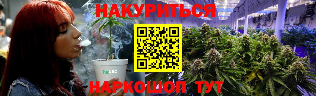 Тара  Канабис сатива  Вход с VPN  Канабис Bruce Banner  Шишки марихуана OG Kush 