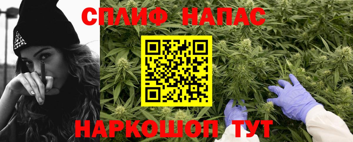 Бошки марихуана OG Kush Тара